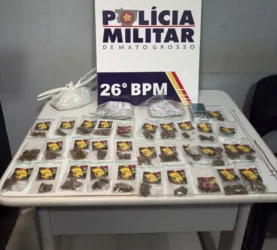 PM apreende drogas em ação contra tráfico ilícito de drogas