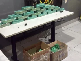 Polícia apreende 31 tabletes de pasta base de cocaína em Várzea Grande