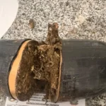 Visitantes são flagradas com ilícitos em unidades prisionais