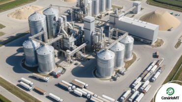 Processamento de soja