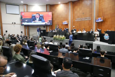 Homenagem reconhece profissionais da saúde na ALMT