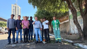 Rondonópolis ganha primeira equipe especializada em poda de árvores