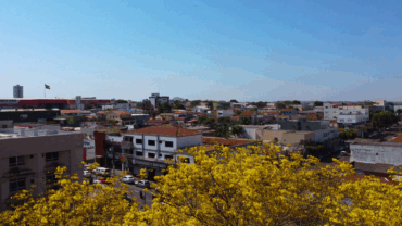 Rondonópolis tem melhor saldo de empregos em outubro em Mato Grosso