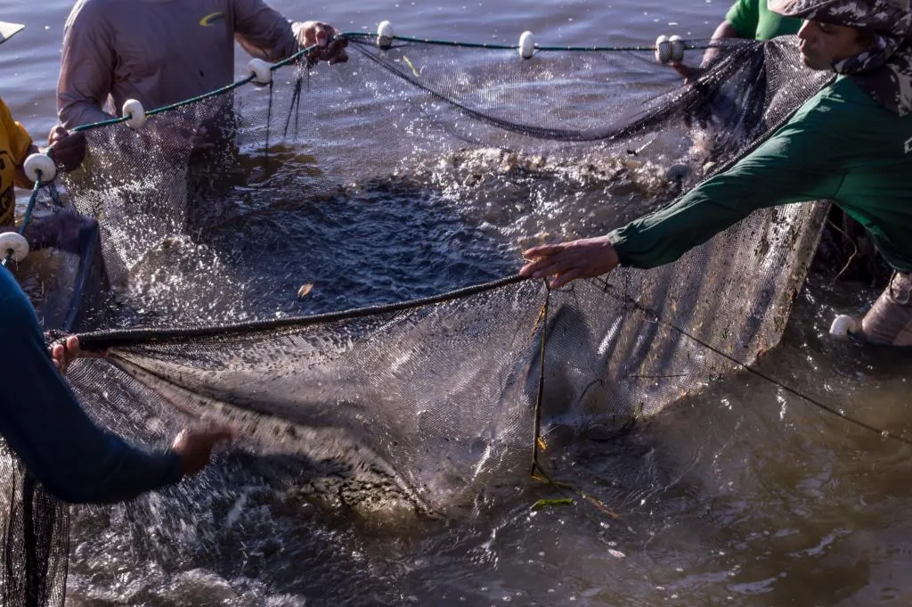 Fábrica de ração para peixes é instalada em Paranaíta