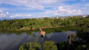 Sinop é destaque nacional em arborização no início da COP30