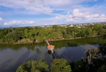 Sinop e destaque nacional em arborizacao no inicio da COP30 -CenárioMT