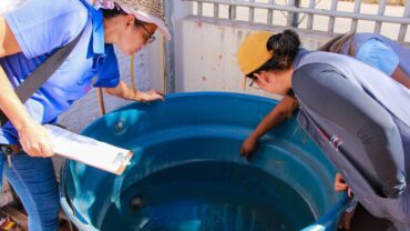 Várzea Grande intensifica combate ao Aedes aegypti com alerta máximo para dengue