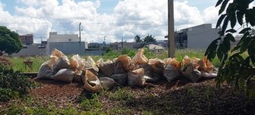 Moradores retiram mais 800 quilos de lixo e ajudam na revitalização de nascentes do rio Lira