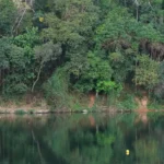 Racionamento noturno é adotado em São Caetano do Sul após queda nos reservatórios