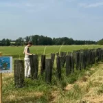 Agrofloresta impulsiona produção sustentável e clima