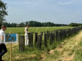 Agrofloresta impulsiona produção sustentável e clima