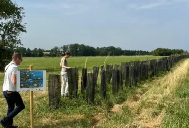 Agrofloresta impulsiona produção sustentável e clima