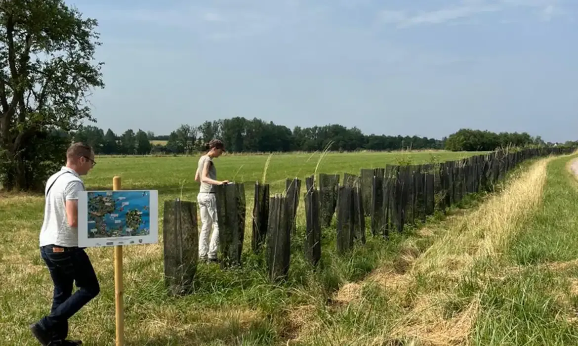 Agrofloresta impulsiona produção sustentável e clima