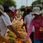 Ação da Cidadania lança Natal sem Fome 2025 para combater insegurança alimentar