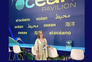 Oceanos podem cortar emissões globais até 2050