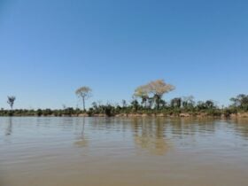 AGU obtém medidas judiciais para a preservação do Pantanal e Mata Atlântica -