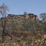 Balsas (MA), 10/10/2025 – Vista do cerrado próximo à comunidade São Pedro, nos Gerais de Balsas. Foto: Fernando Frazão/Agência Brasil