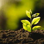 América Latina e Caribe unem forças por agricultura sustentável na COP30