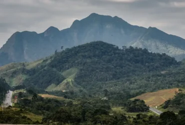 SOS Mata Atlântica mobiliza setor privado para conservar o bioma