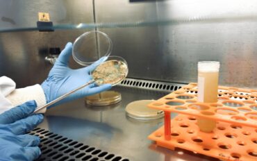 Capacitação prepara profissionais para o uso racional de bioinsumos na agricultura