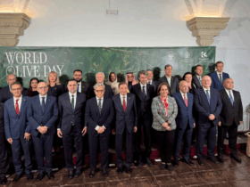 Brasil destaca avanços na qualidade do azeite durante celebração do World Olive Day