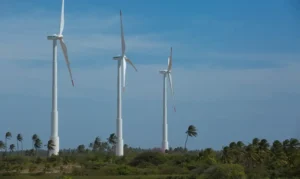 Economia verde deverá gerar novos empregos no Brasil