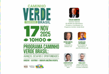 Caminho Verde Brasil é destaque do Mapa na COP30