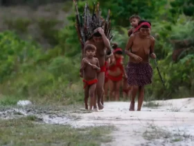 Funai alerta que queda de vetos do licenciamento ameaça terras indígenas