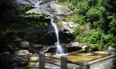 Parque Nacional da Tijuca realiza feira de ciências sobre peixes