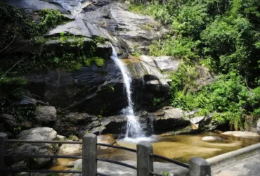 Parque Nacional da Tijuca realiza feira de ciências sobre peixes