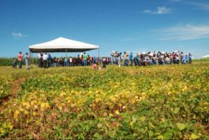 Dia de campo na Embrapa Arroz e Feijão debate conhecimento agroecológico para produção