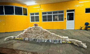 A carga ilícita, que seria levada para Brasília (DF), foi descoberta em compartimento oculto do semirreboque durante abordagem no km 290 da BR-070.