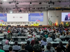 Afrodescendentes ganham destaque inédito nos documentos finais da COP30