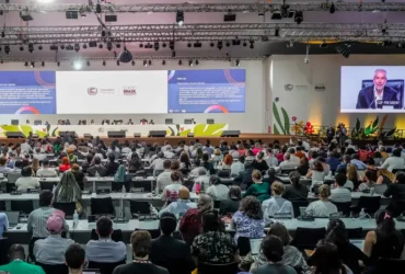 Afrodescendentes ganham destaque inédito nos documentos finais da COP30