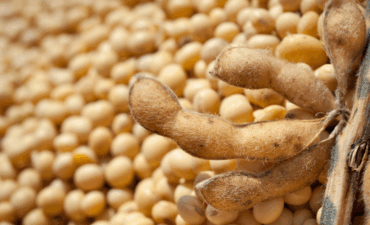 Exportações do agronegócio somam US$ 15,49 bilhões em outubro e registram recorde para o mês