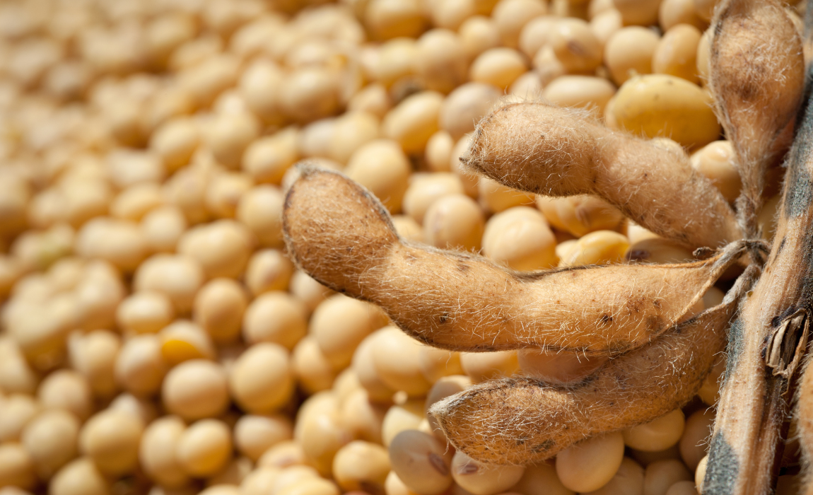 Exportações do agronegócio somam US$ 15,49 bilhões em outubro e registram recorde para o mês