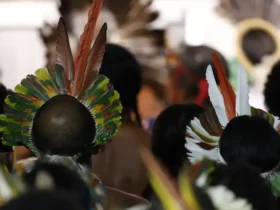 Demarcação de terras fortalece proteção ambiental e direitos indígenas