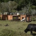 Rejeito expõe violência causada pela mineração em comunidades mineiras