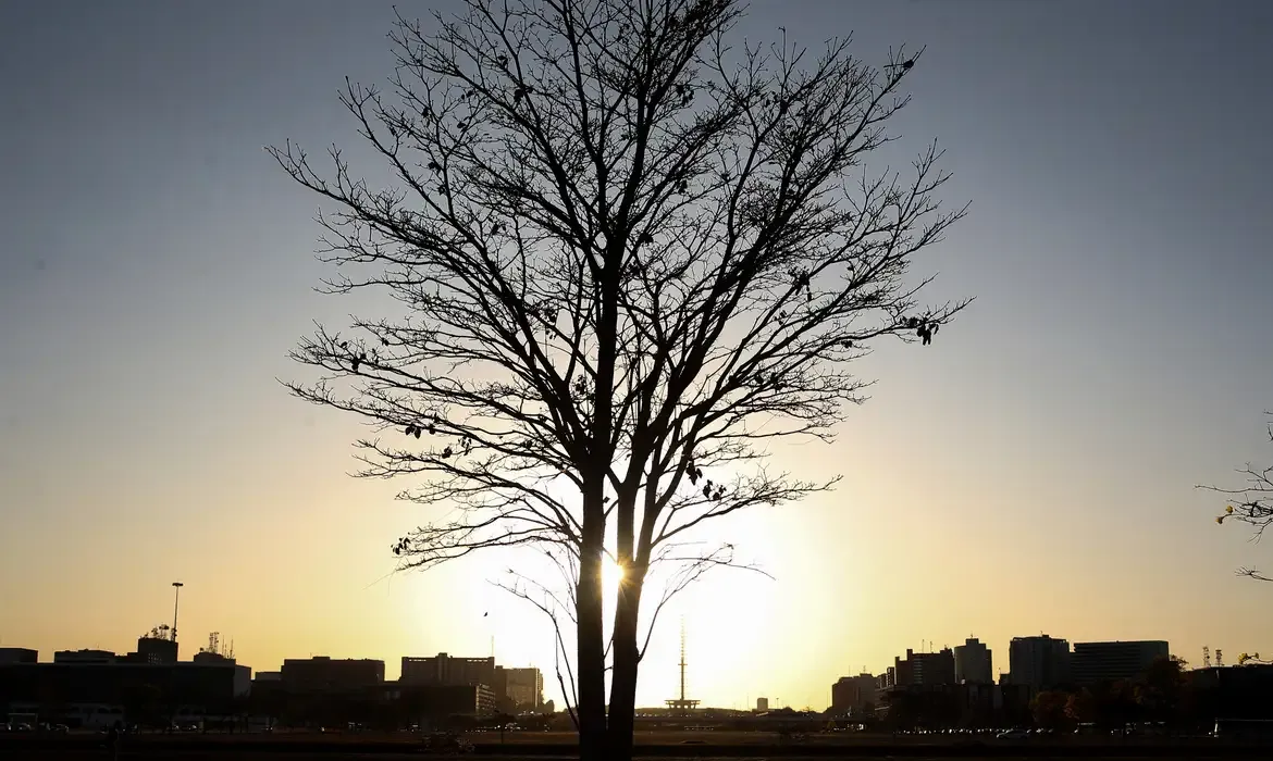 Cientista alerta sobre aquecimento global prolongado e urgência em ações