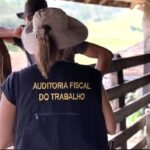 Fiscalização do cumprimento das leis trabalhistas terá reforço com a nomeação de 855 auditores-fiscais - Ministério do Trabalho/Divulgação