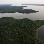 Governo do Brasil anuncia plano para fundo climático de US$ 1 bilhão - Divulgação