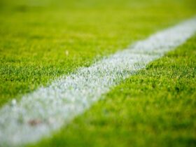Confira a agenda completa de jogos do dia. Imagem: Pixabay