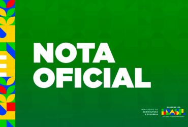 Gripe aviária: China retira suspensão à exportação de carne de aves brasileira