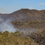 Incêndios florestais em unidades de conservação chegam ao menor patamar desde 2018 -