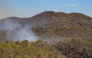 Incêndios florestais em unidades de conservação chegam ao menor patamar desde 2018 -