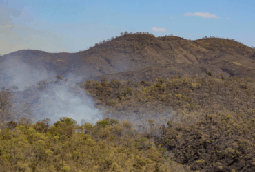 Incêndios florestais em unidades de conservação chegam ao menor patamar desde 2018 -