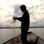 Ministério suspende 35 mil licenças de pescadores profissionais por fraude - Divulgação