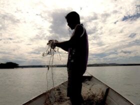 Ministério suspende 35 mil licenças de pescadores profissionais por fraude - Divulgação