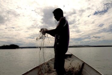 Ministério suspende 35 mil licenças de pescadores profissionais por fraude - Divulgação