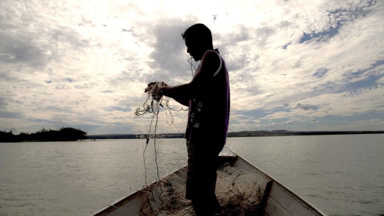 Ministério suspende 35 mil licenças de pescadores profissionais por fraude - Divulgação